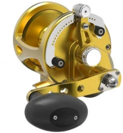 Avet LX G2 6.0 Single Speed Reel Gold