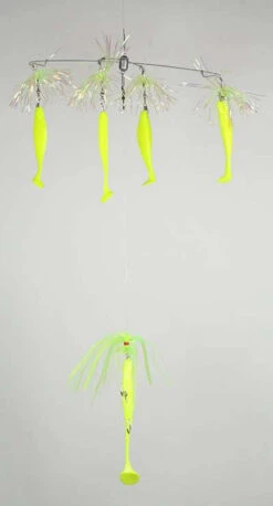 Blue Water Candy Striperbella With 9in Chaser