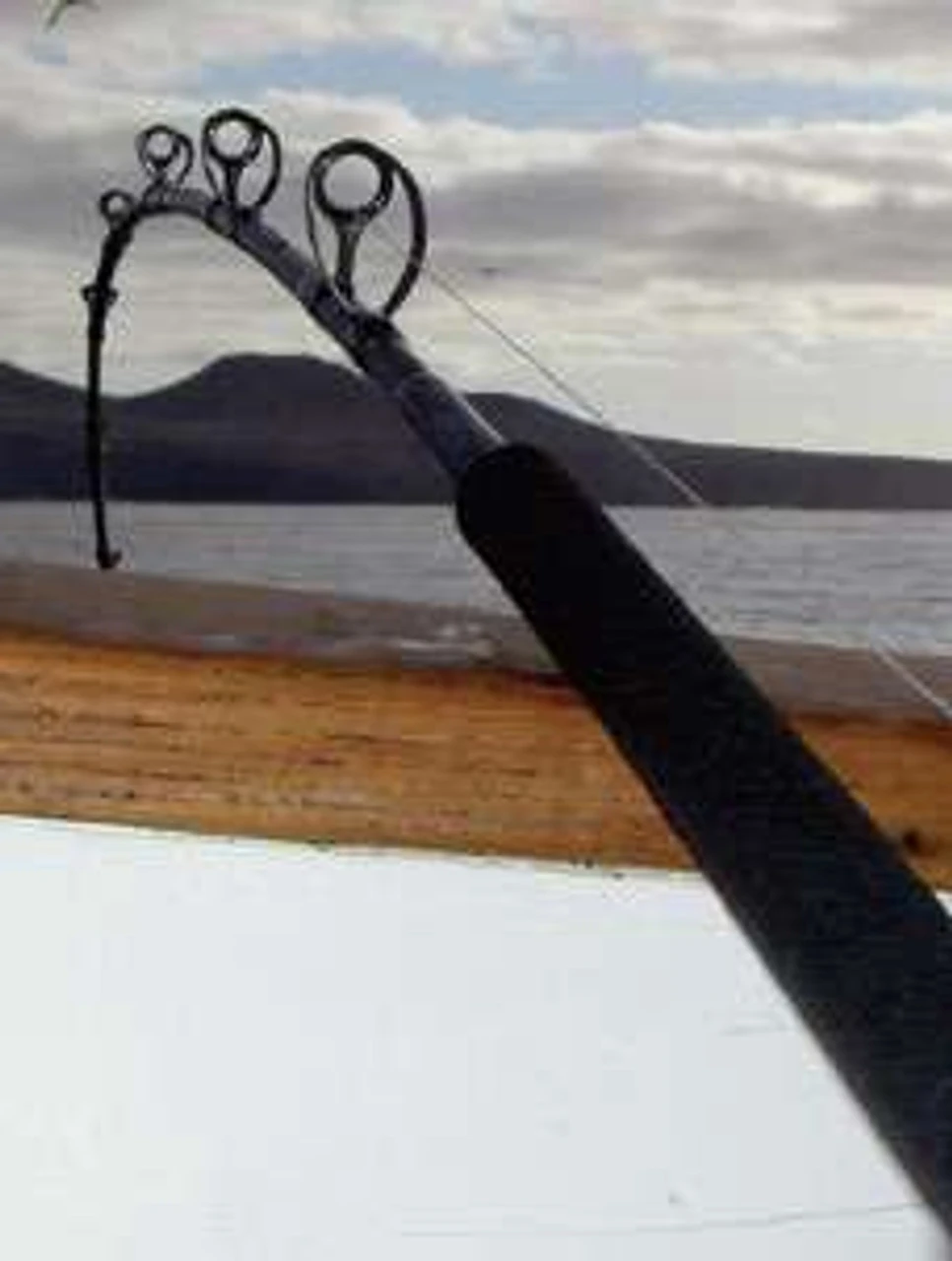 Phenix PHD838MH Deck Hand Black Diamond Hybrid Offshore Rod 3 Phenix PHD838MH Deck Hand Black Diamond Hybrid Offshore Rod - Image 3