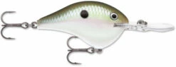 Rapala Dives To Crankbait Lure - DT14 GGSD Green Gizzard Shad