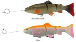 New Release -Reeltide Gear Shop savage gear pre rigged 3d line thru trout lures 89082.1650821678