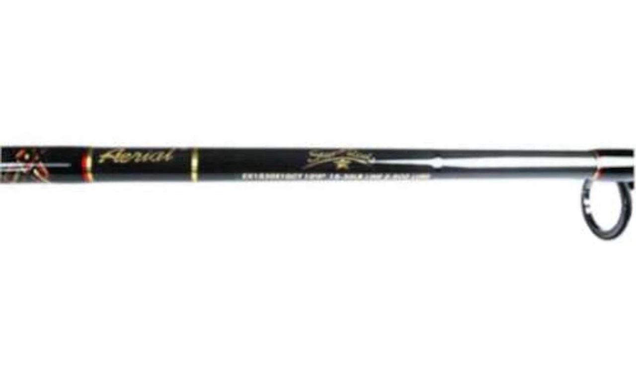 Star Aerial Surf Spinning Rods 2 Star Aerial Surf Spinning Rods - Image 2