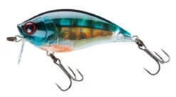 New Release 15 Yo-Zuri R1146 3DB Wake Bait Lure